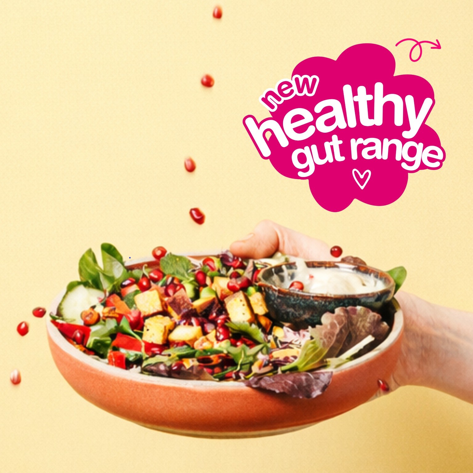 A hand holds a colourful food salad bowl with greens, tofu, pomegranate seeds, and a dip. Red pomegranate seeds are falling, and text reads, “new healthy gut range” in a pink cloud shape.